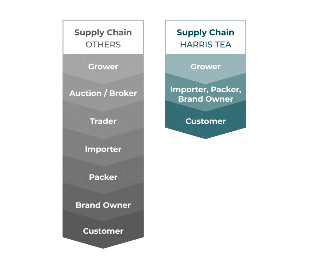 Tea Sourcing Harris Tea Company